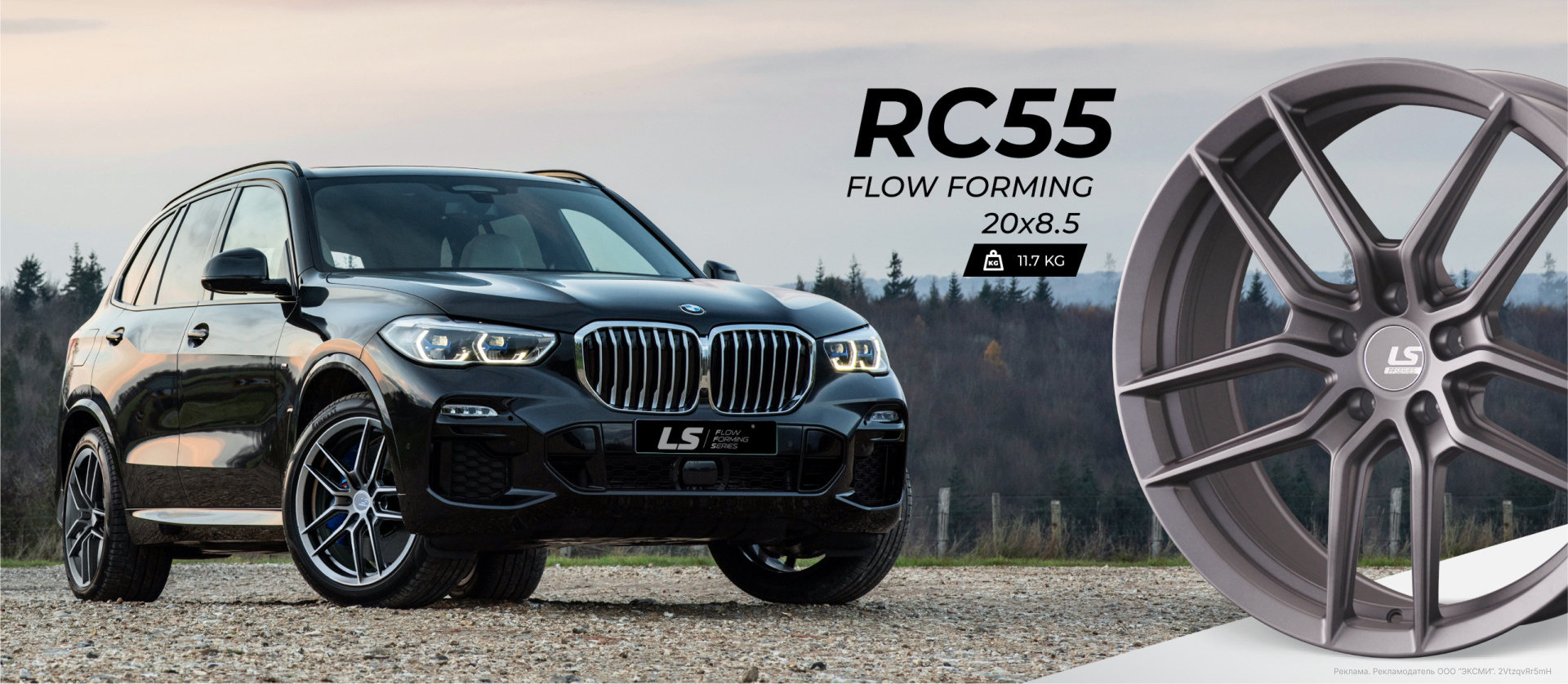 Диск LS FFS RC55