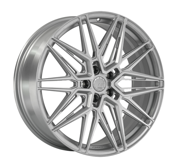 Кованый диск LS FG58 SS