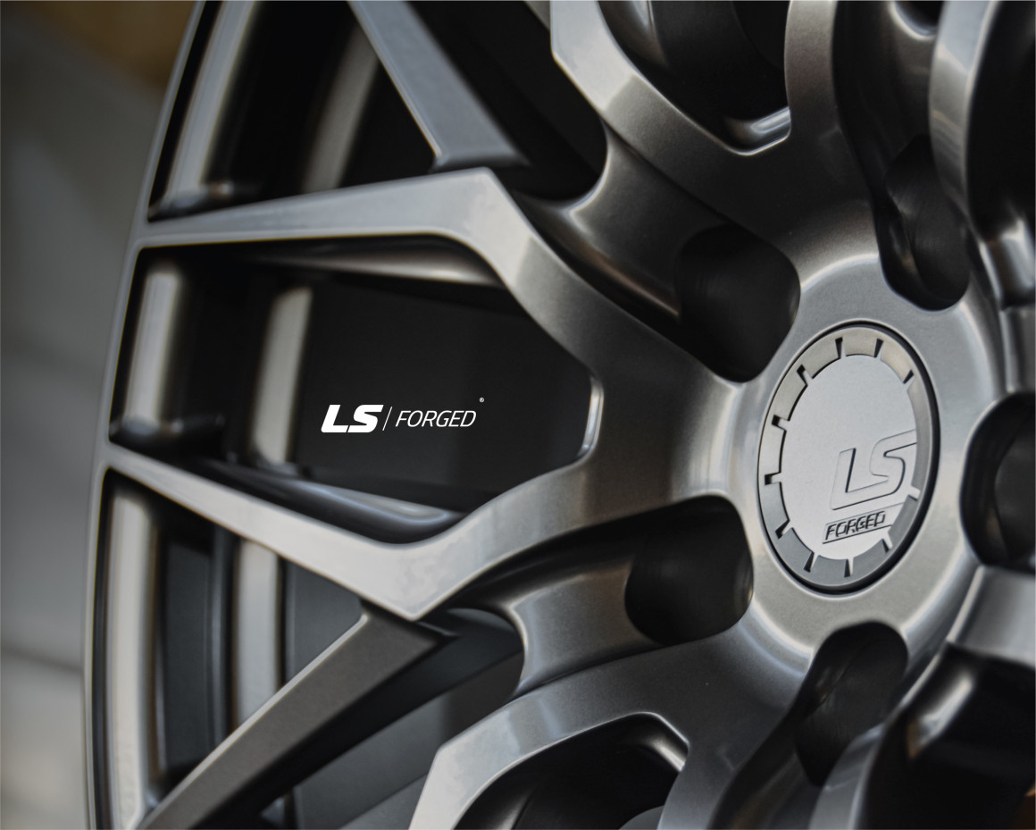 Кованые диски на дисках LS FG04 - фото 3