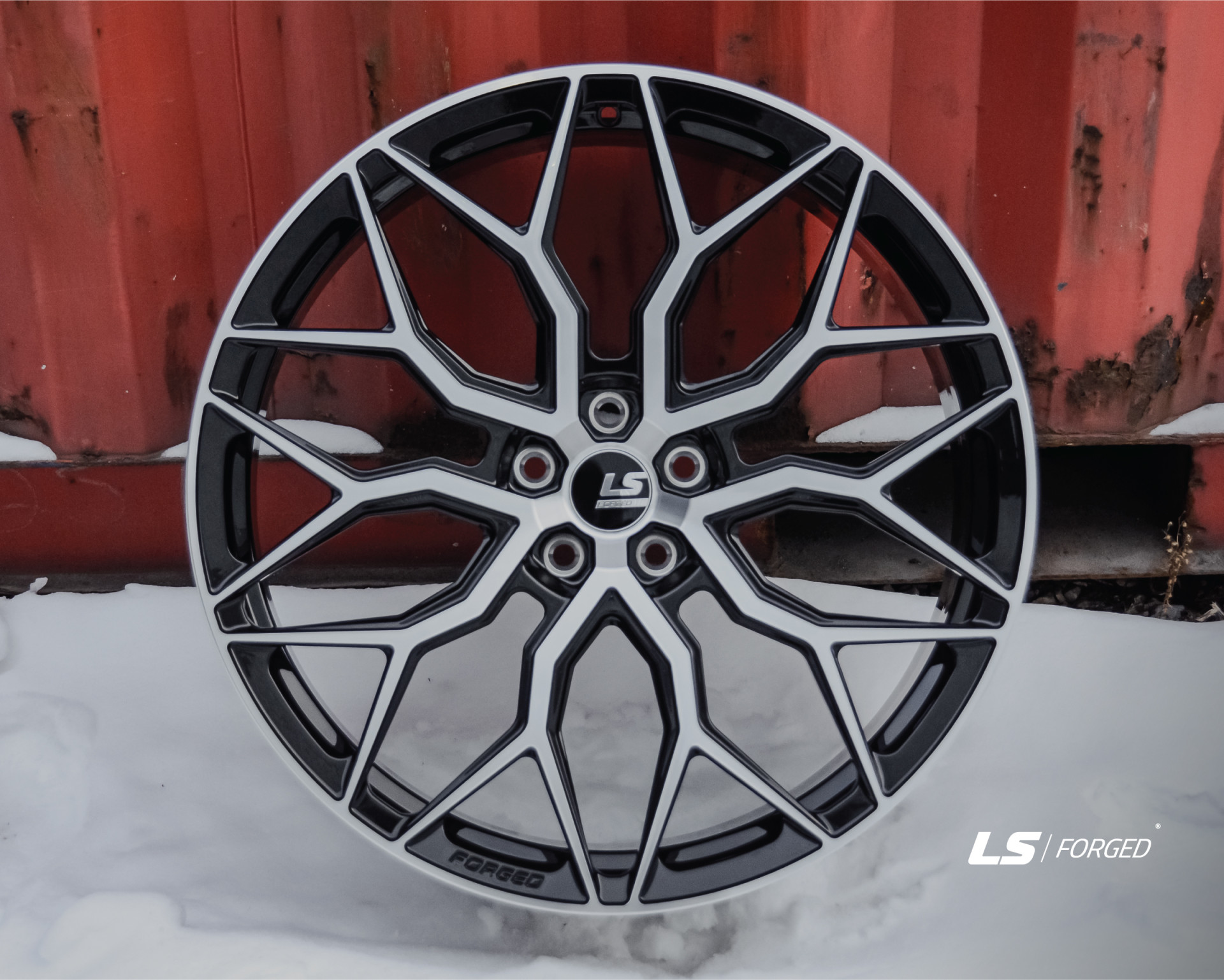 Кованые диски на дисках LS FG13 - фото 1