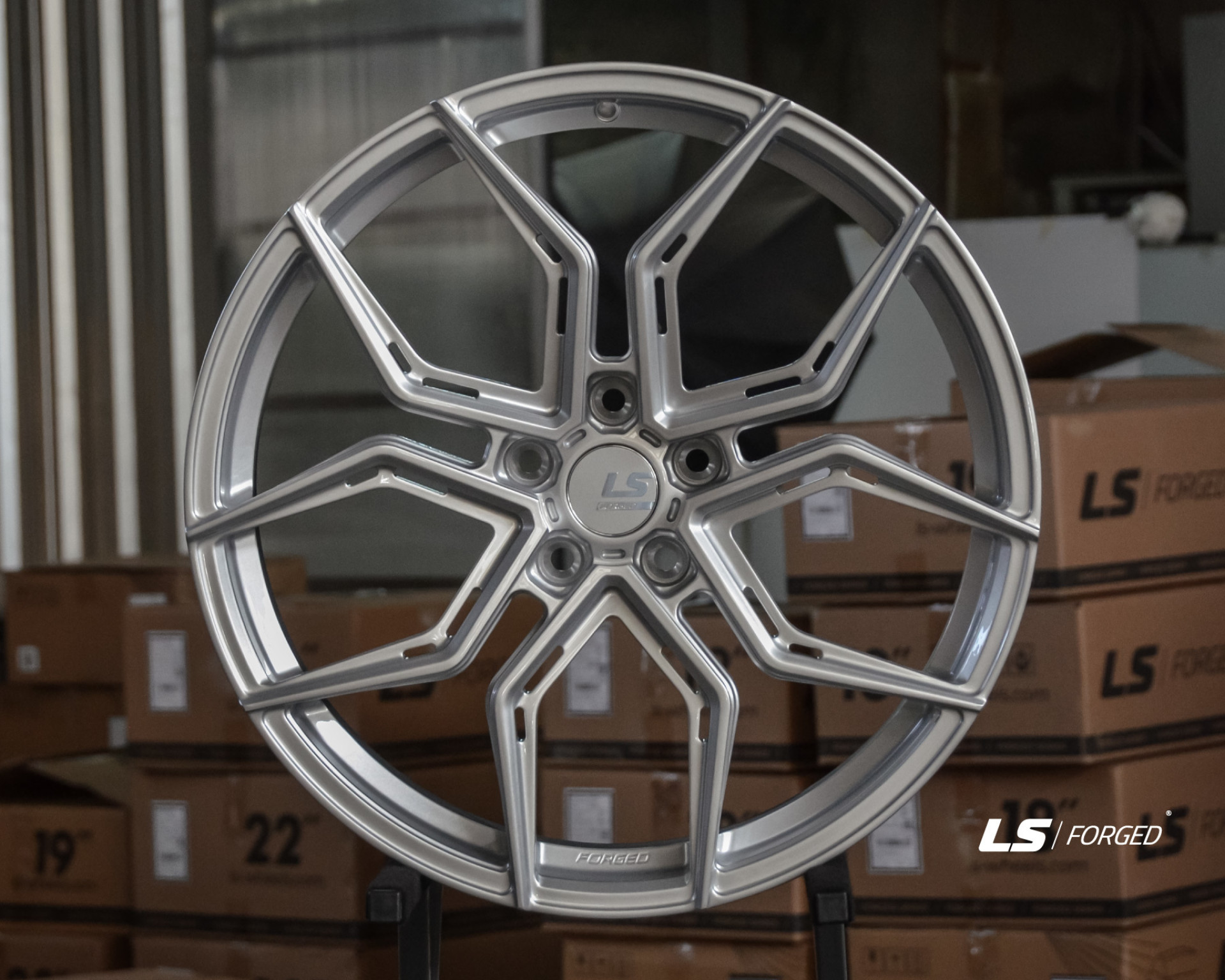 Кованые диски на дисках LS FG27 - фото 1